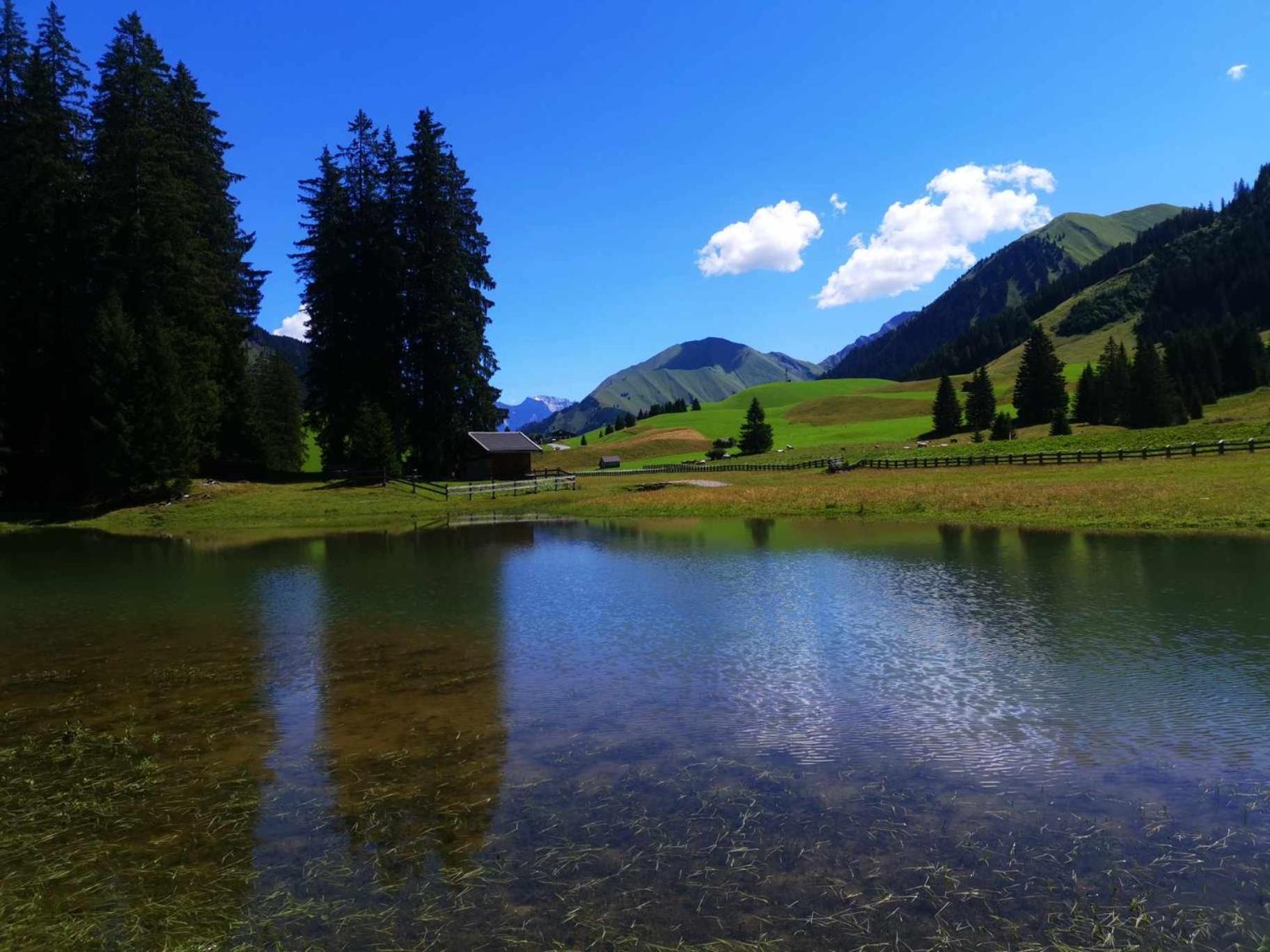 Gaestehaus Bergland Berwang Buitenkant foto