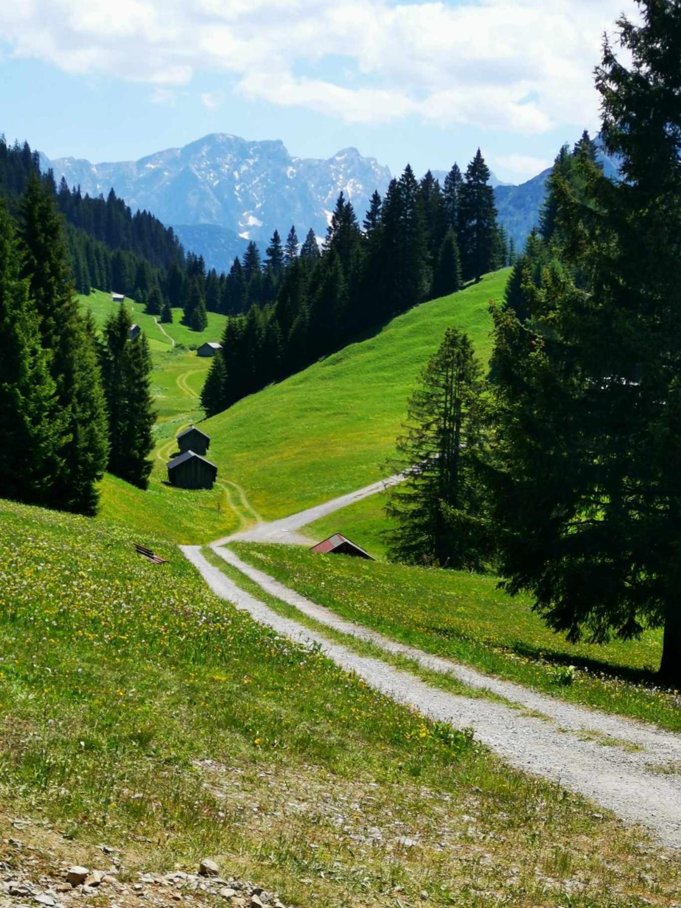 Gaestehaus Bergland Berwang Buitenkant foto